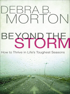 cover image of Beyond the Storm